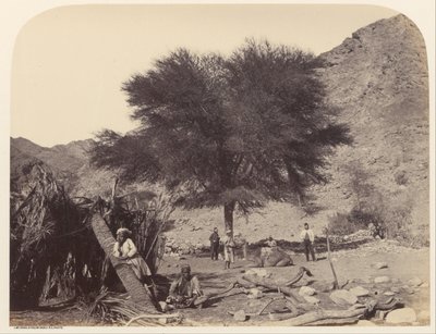 Seyal (Shittim) Tree, Dedicated to the Patron Saint, Wady Feiran by Sgt. James M. McDonald